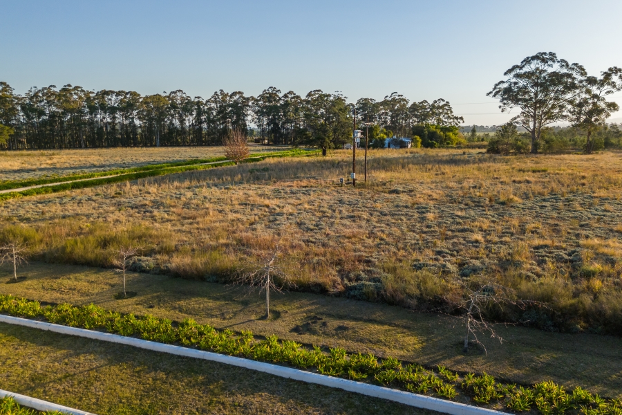 To Let 6 Bedroom Property for Rent in The Crags Western Cape
